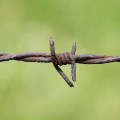 close up of barbed wire