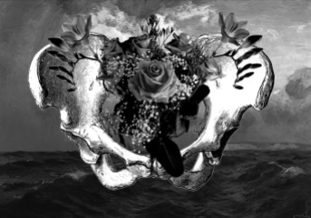 Digital photocollage of a pelvis against a stormy sea, with floral details in the shape of a uterus and ovaries